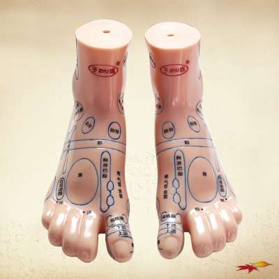 Massage Foot Model 13cm 19cm, Foot model of Reflex Area